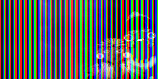 Cover image for The Mountain of Souls