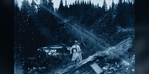 Cover image for The Woad Wood Weeps