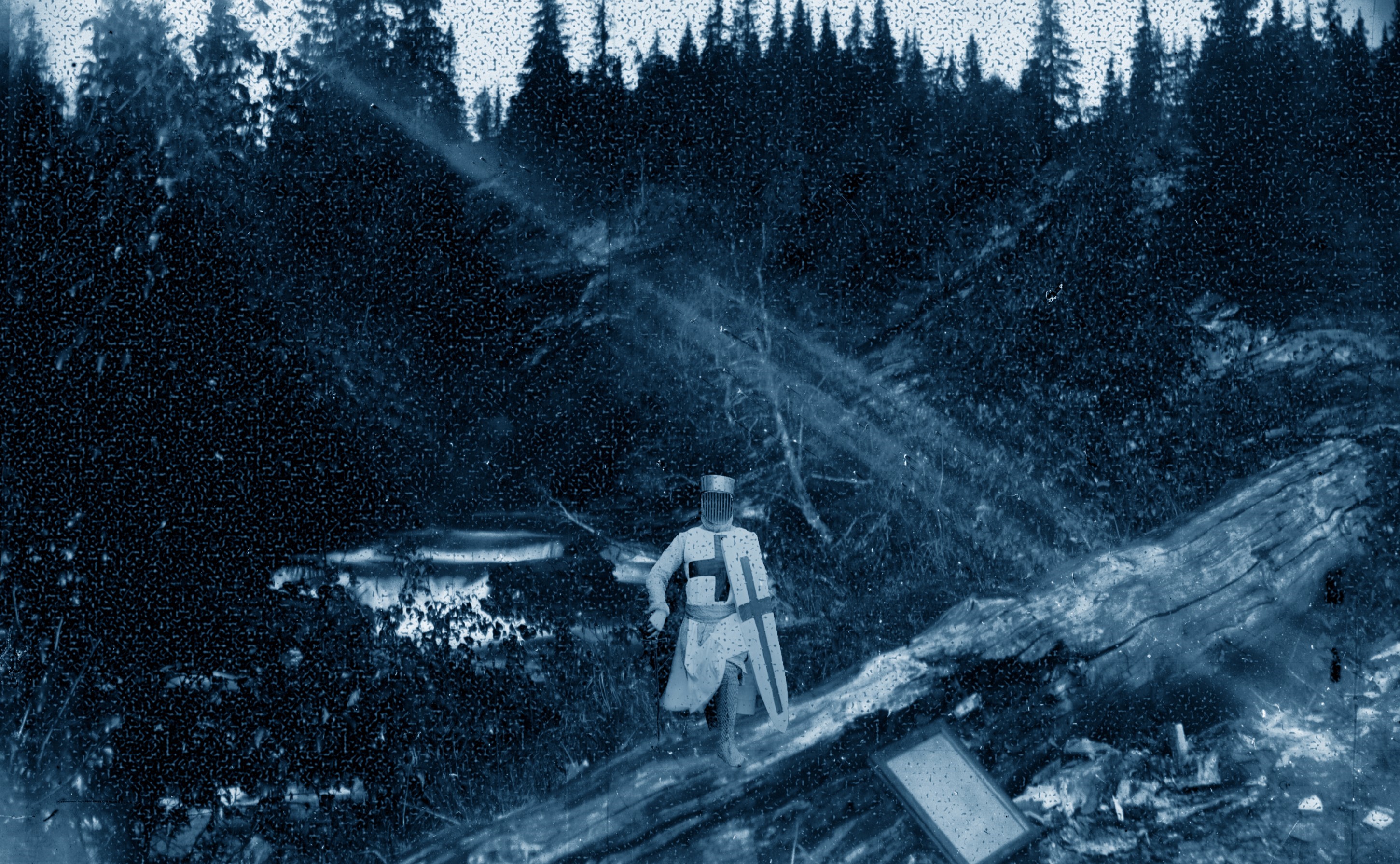 Cover image for The Woad Wood Weeps