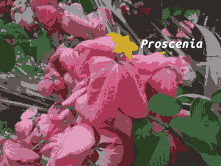 Cover image for Proscenia