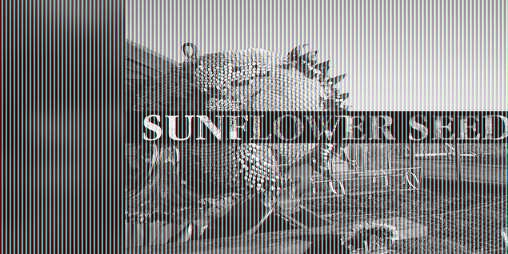 Cover image for Sunflower Seeds