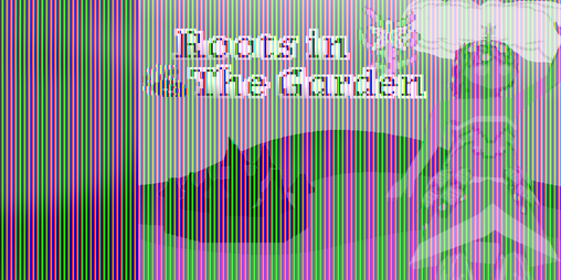 Cover image for Roots In The Garden