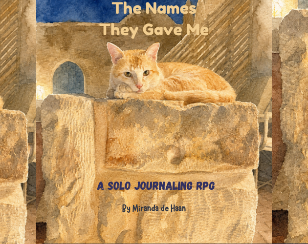 Cover image for The Names They Gave Me