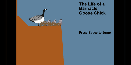 Cover image for The Life of a Barnacle Goose Chick