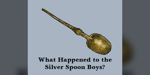 Cover image for What Happened to the Silver Spoon Boys