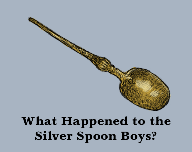 Cover image for What Happened to the Silver Spoon Boys
