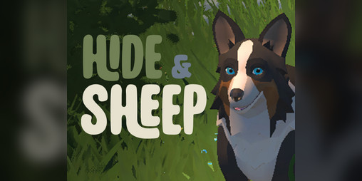 Cover image for Hide and Sheep