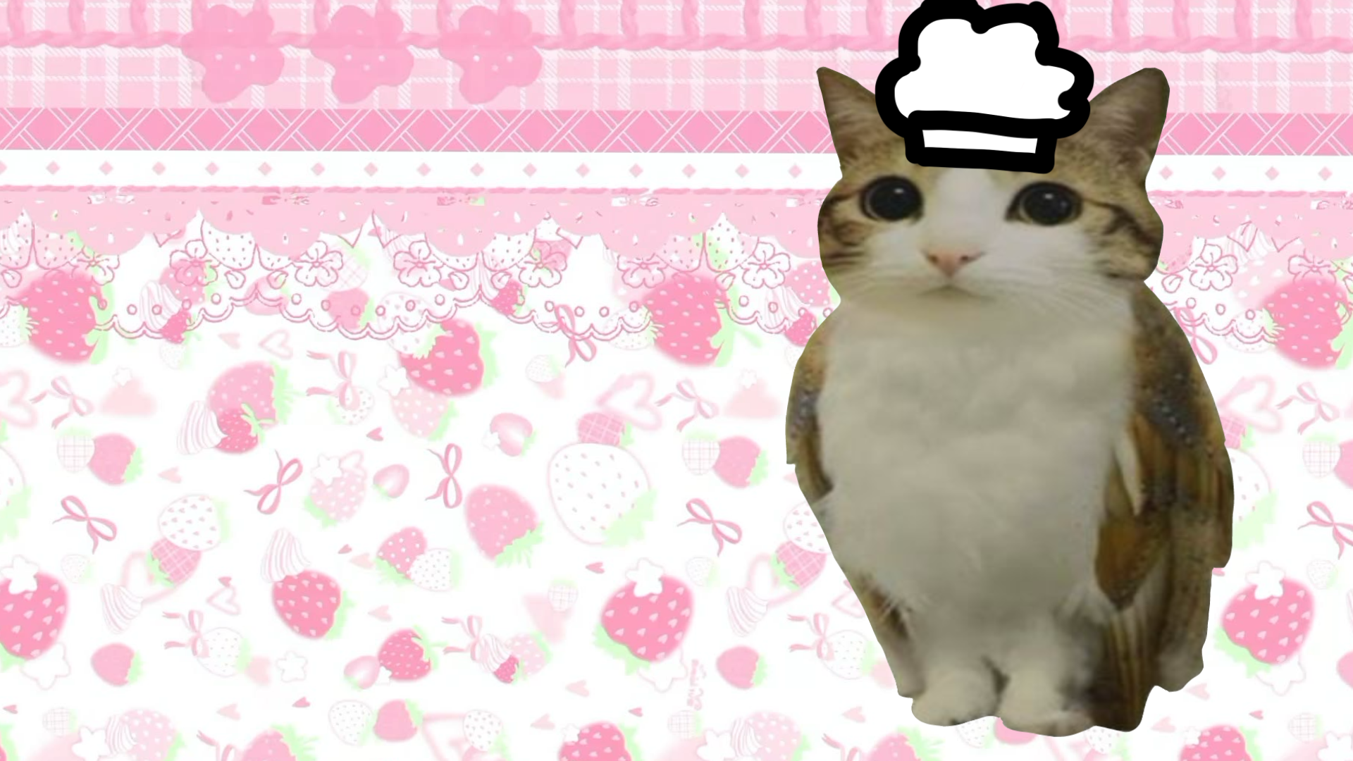 Cover image for Cooking with meowl