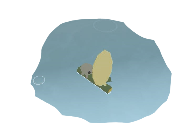 Cover image for pond.