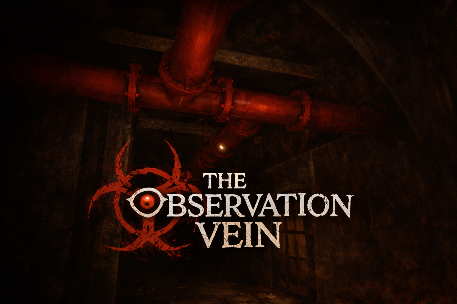 TheObservationVein