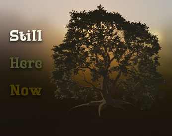 Cover image for Still. Here. Now.