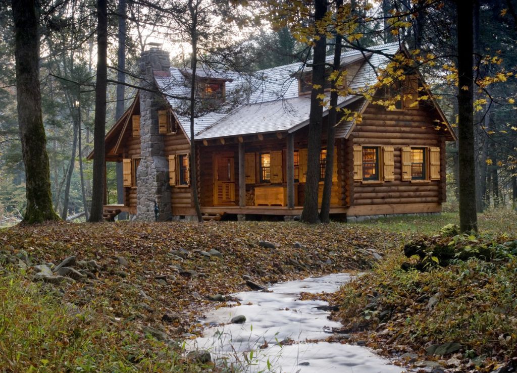 Cover image for Survive the Cabin