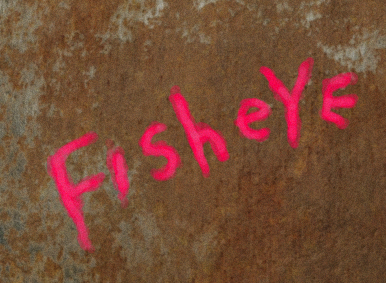 Cover image for Fisheye