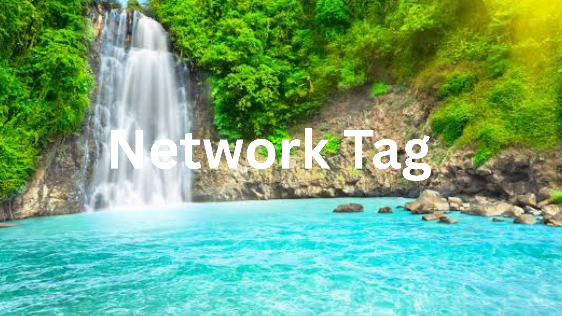 Cover image for Network Tag