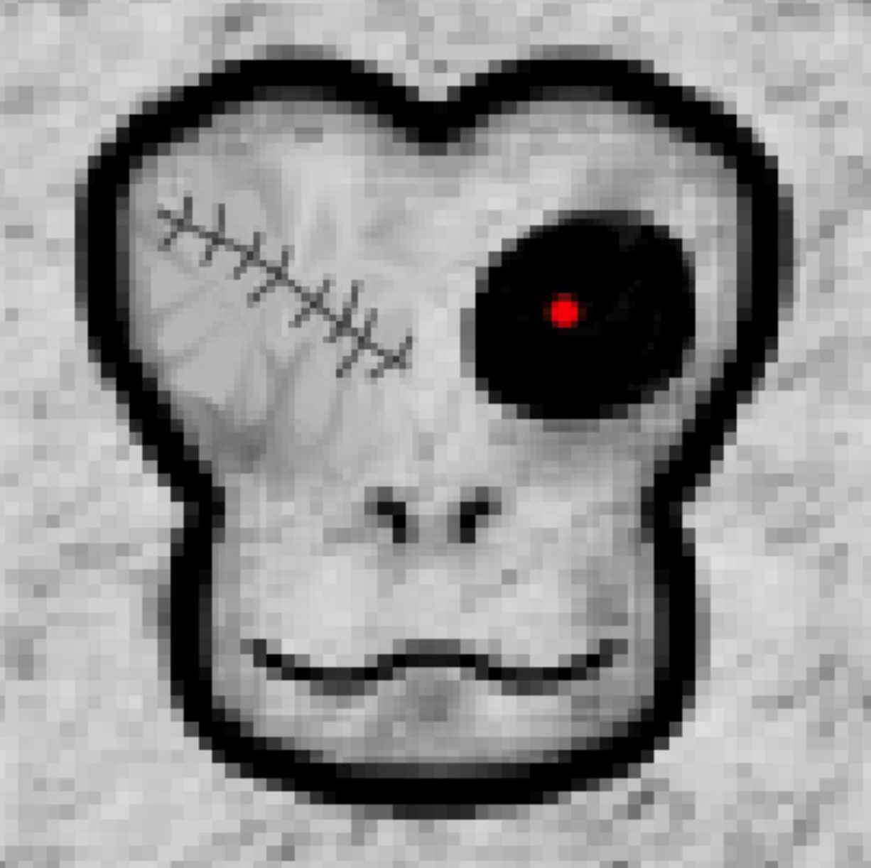 Cover image for first monkeys v3