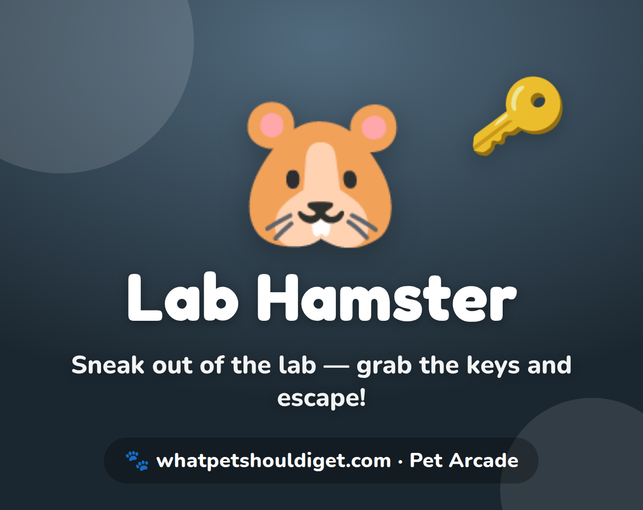 Cover image for Lab Hamster