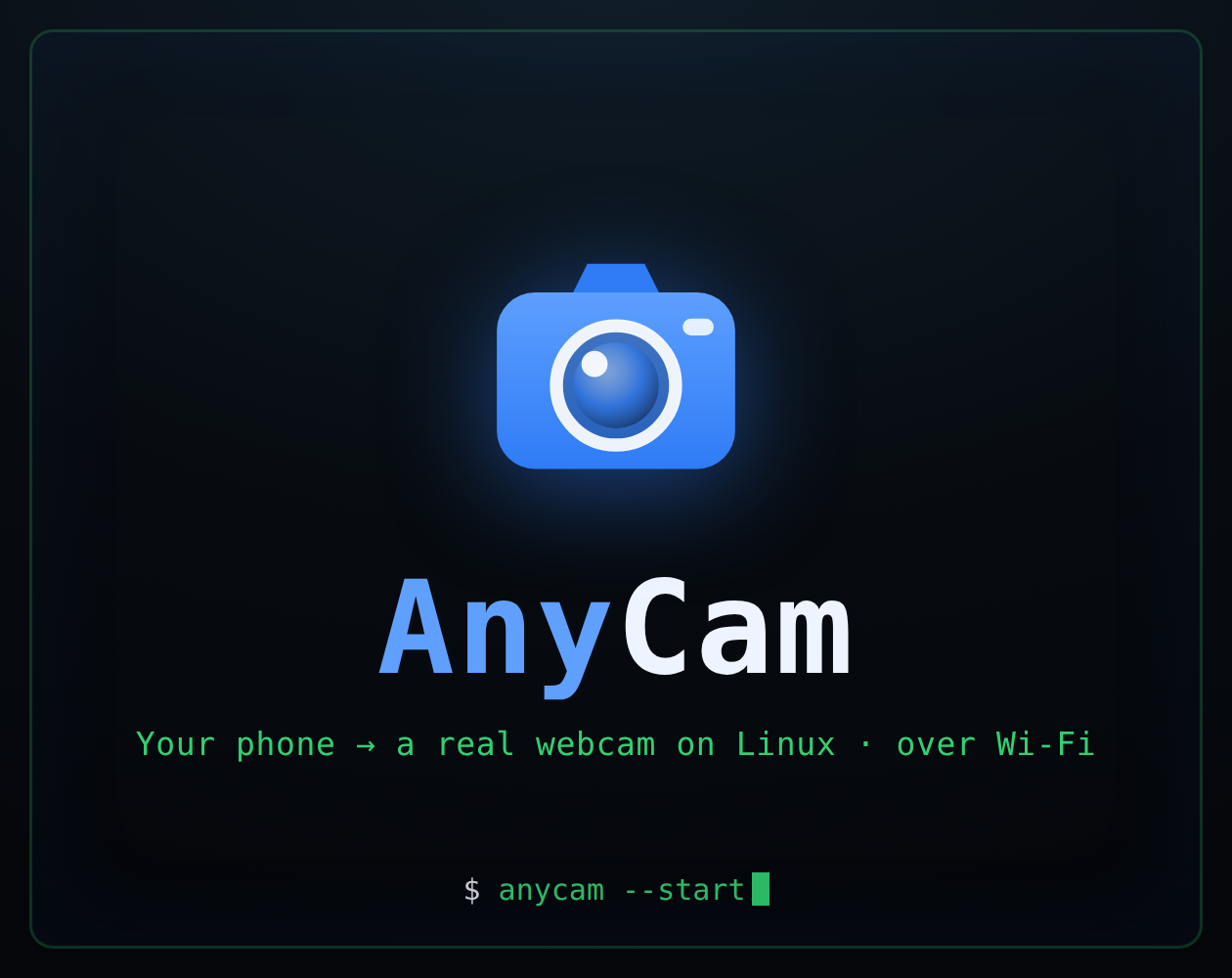 AnyCam