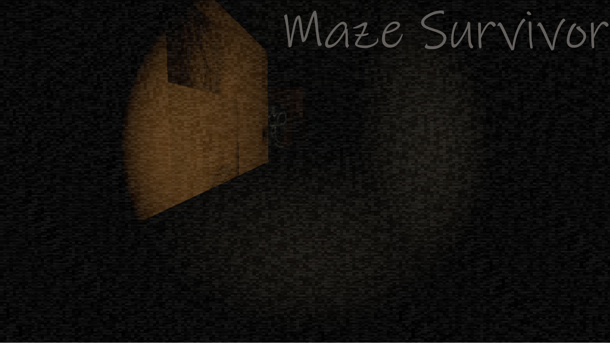 Cover image for Maze Survivor
