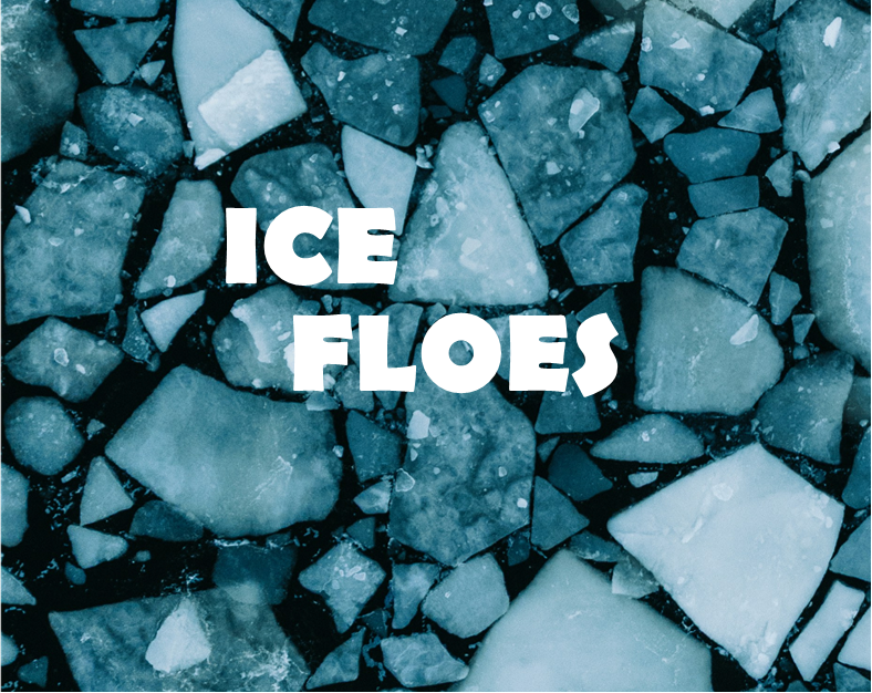 Cover image for Ice Floes