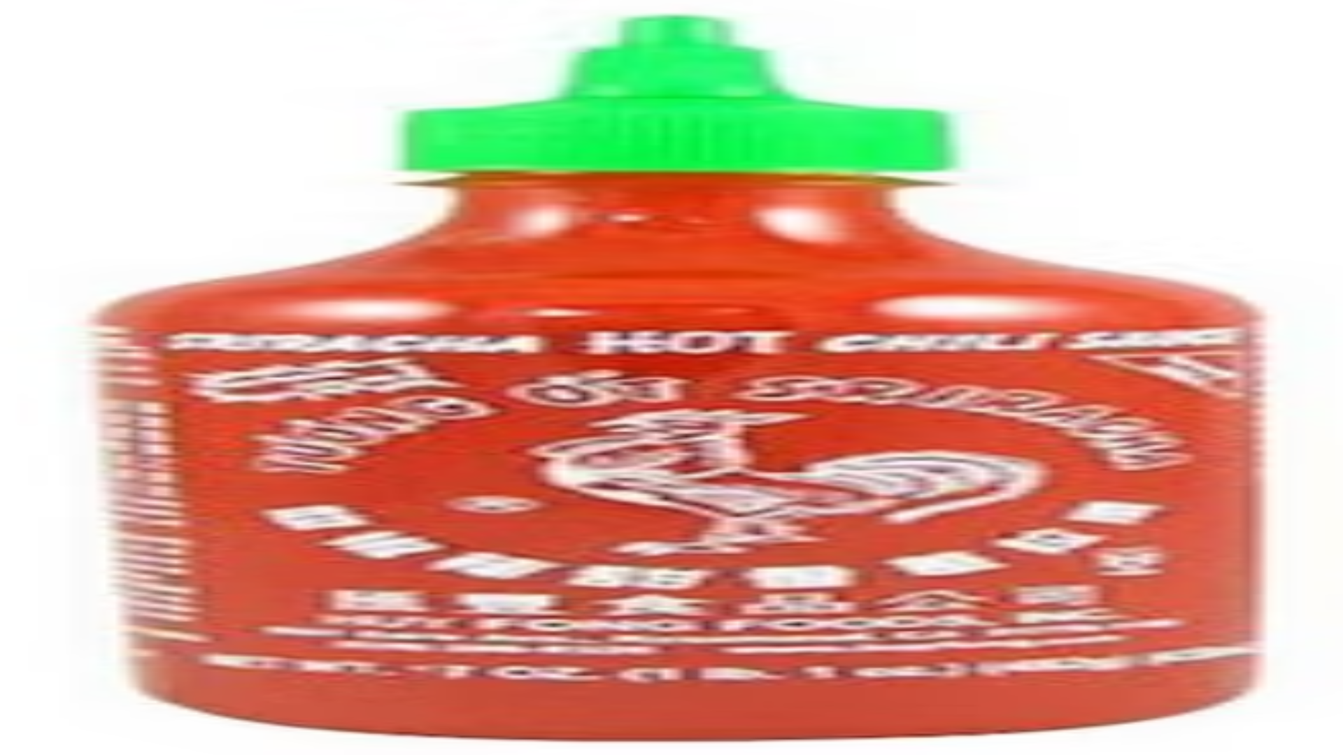 Cover image for SAUCE!!1!11