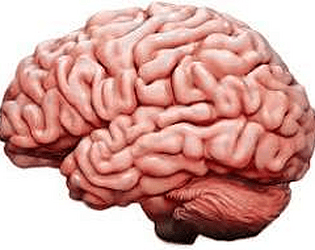 Test your brain Obby. [Free] [Windows] [macOS] [Linux]