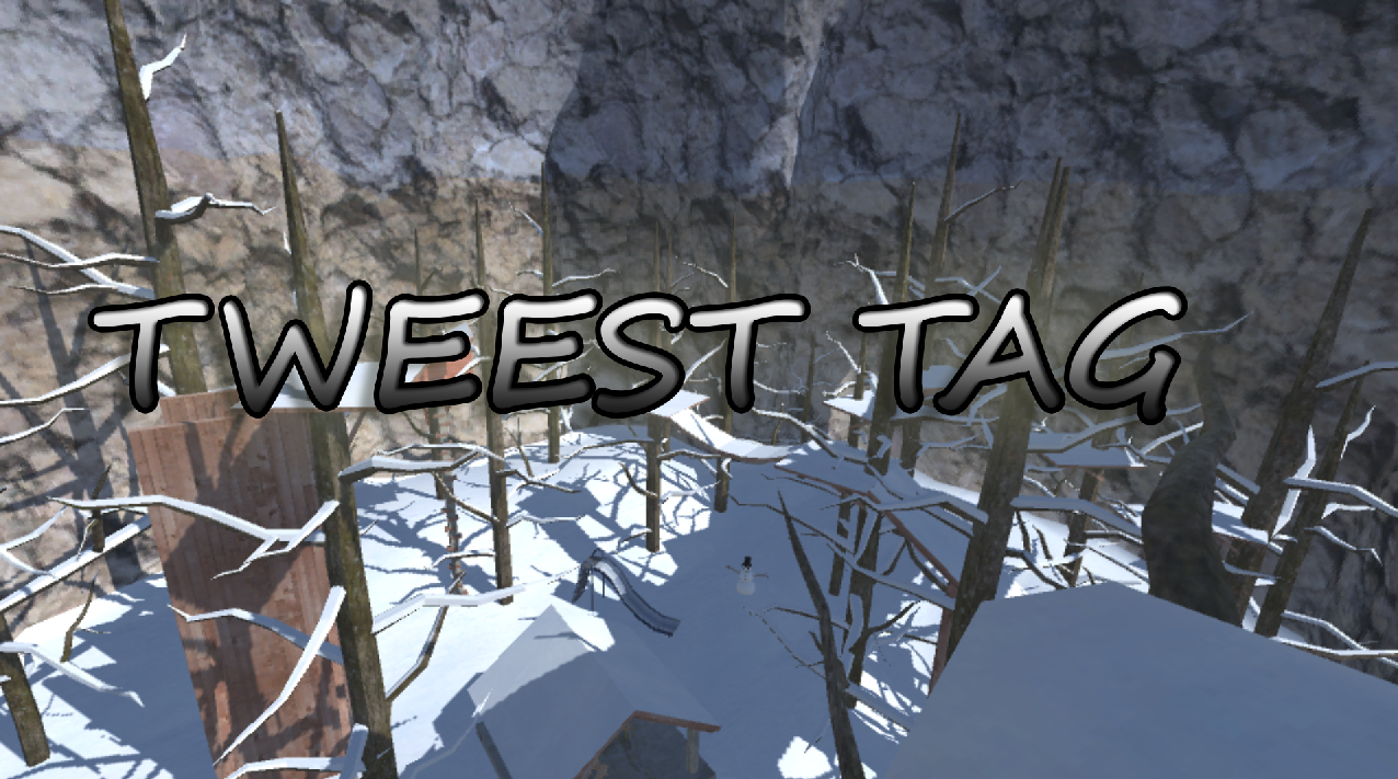 Cover image for TWEEST TAG