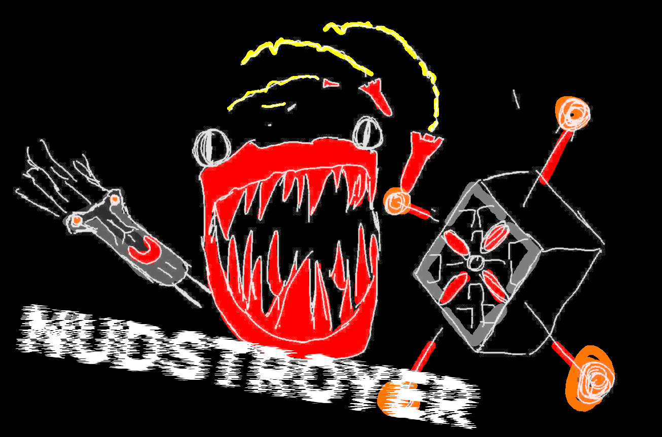 Cover image for Nudstroyer