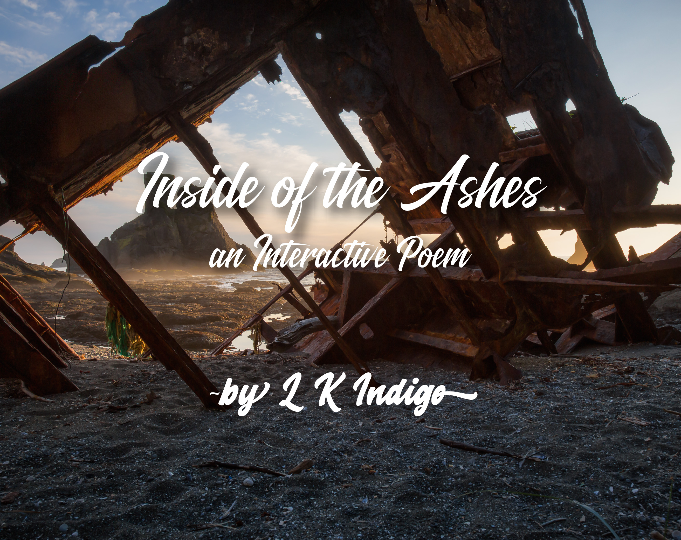 Cover image for Inside of the Ashes