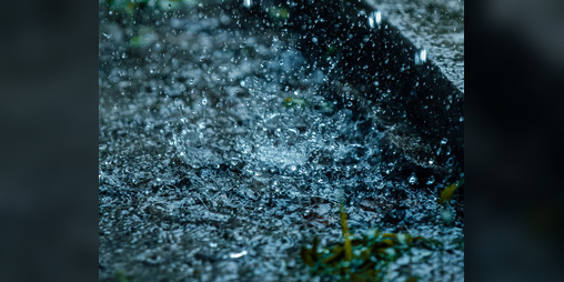 Cover image for Have you ever thought about rain?