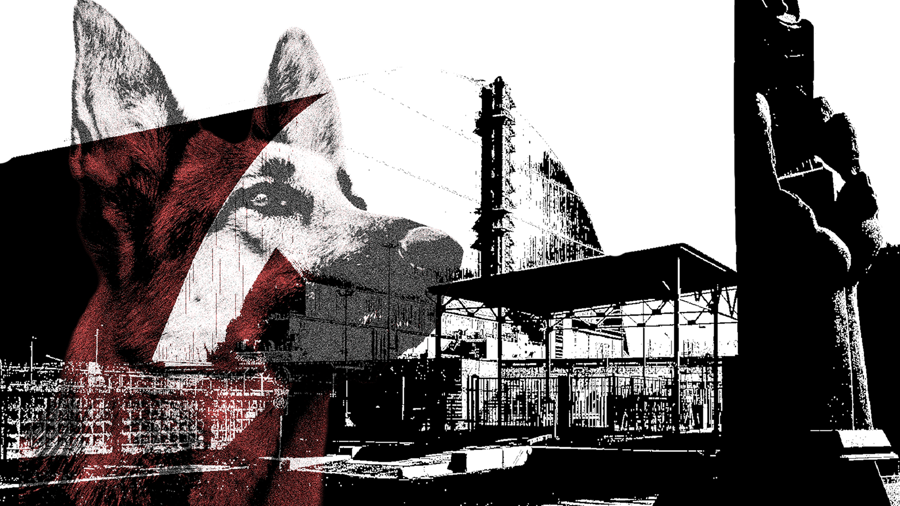 Cover image for Dogs of Chernobyl