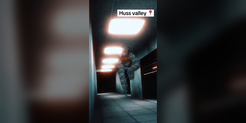 Cover image for Huss Baboon (NOT MY GAME, CREDITS TO SOUR!)