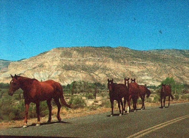Cover image for Close to Nowhere