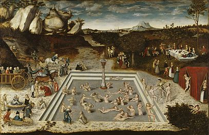 Cover image for The Fountain of Youth