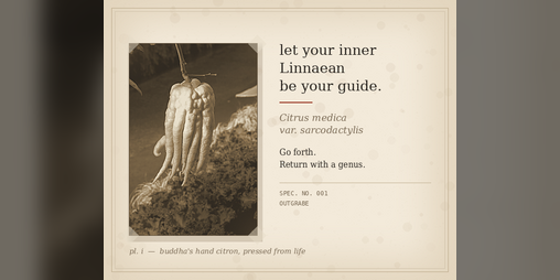 Cover image for let your inner Linnaean be your guide.
