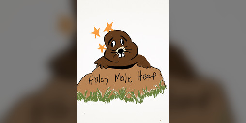 Cover image for Holey Mole Heap