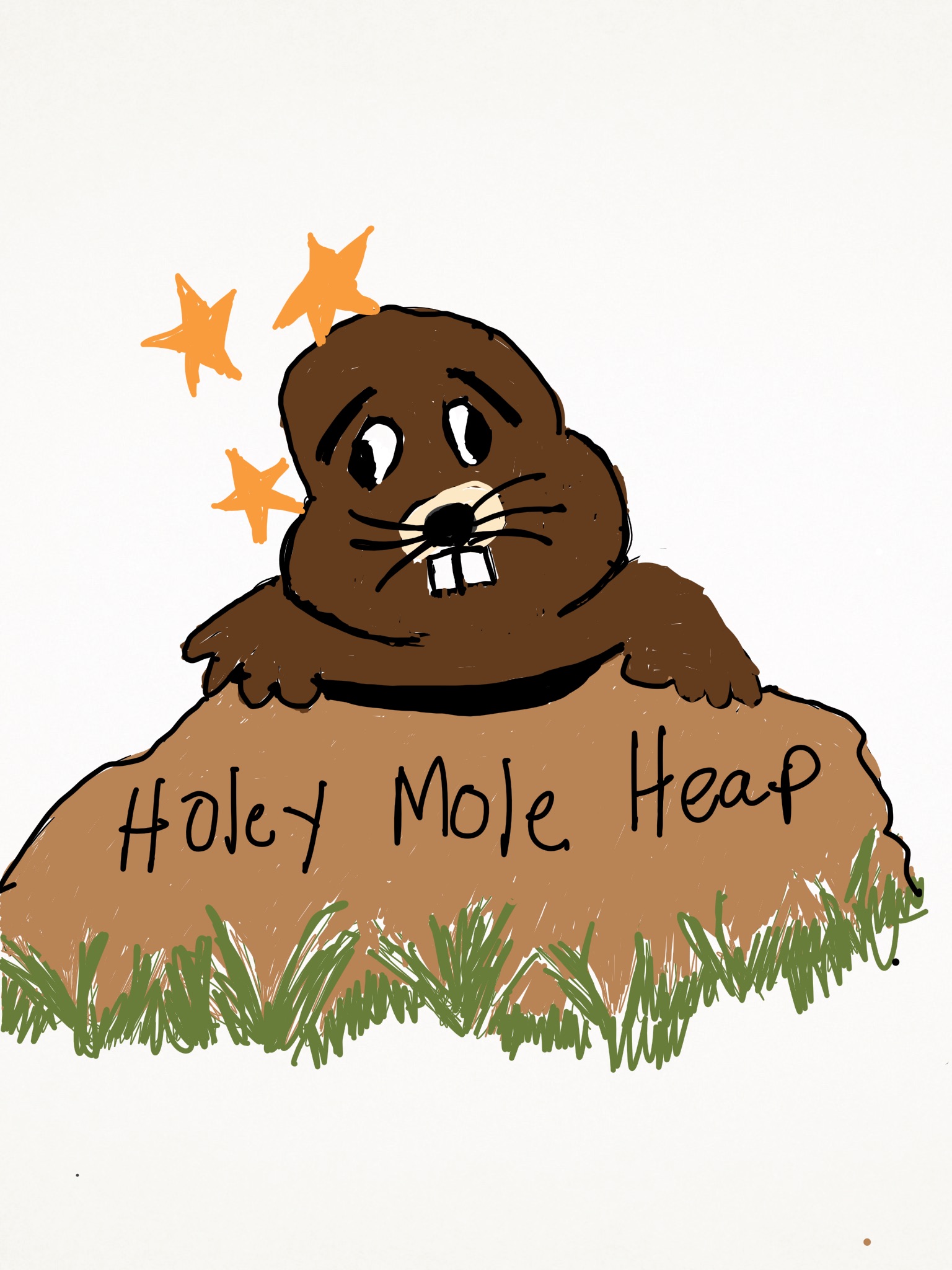 Cover image for Holey Mole Heap