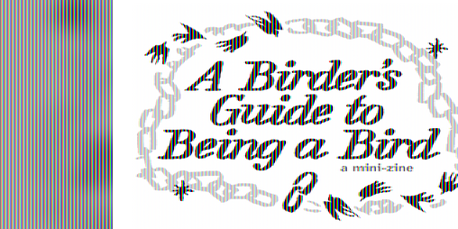 Cover image for A Birder's Guide to Being a Bird