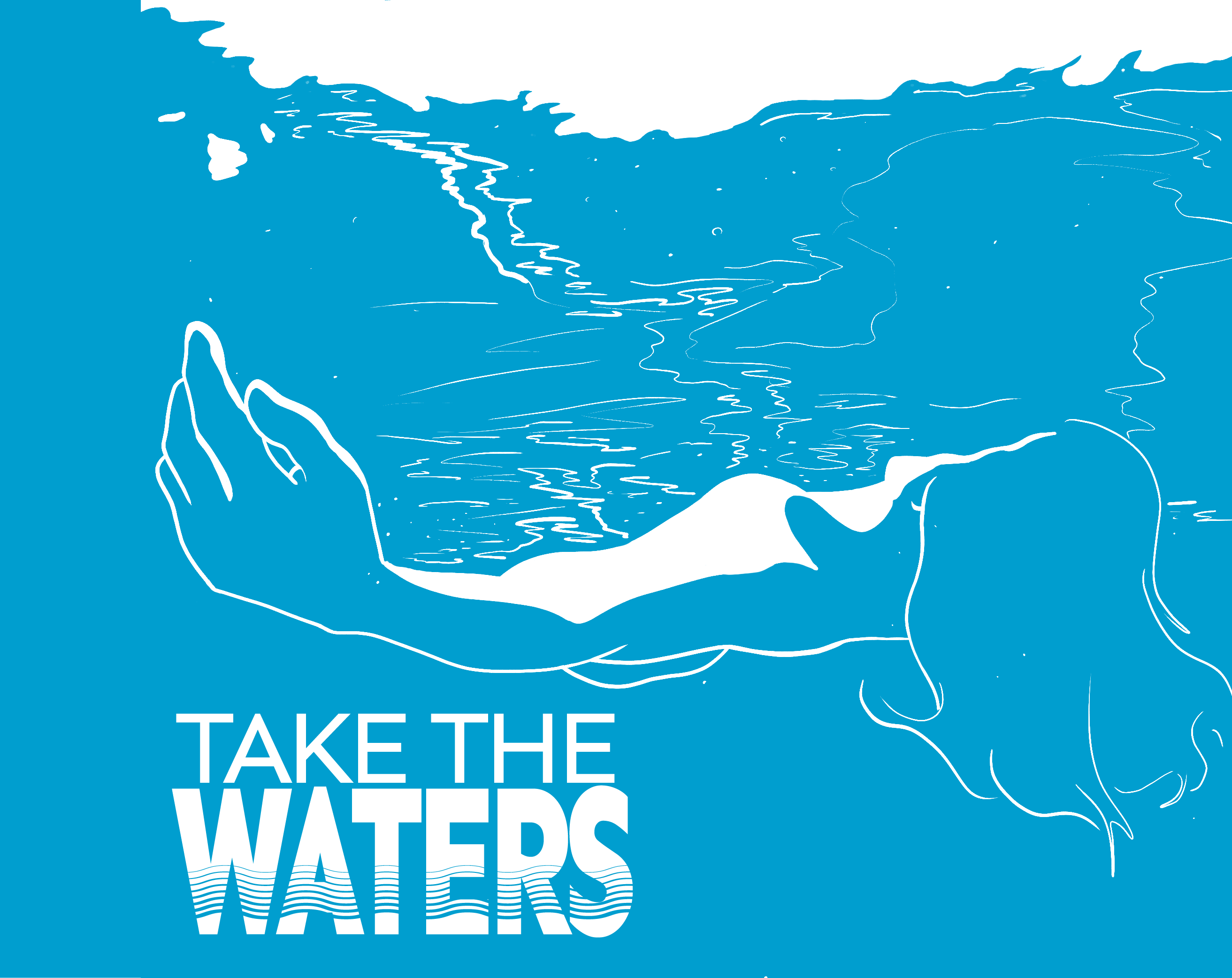 Cover image for Take the Waters