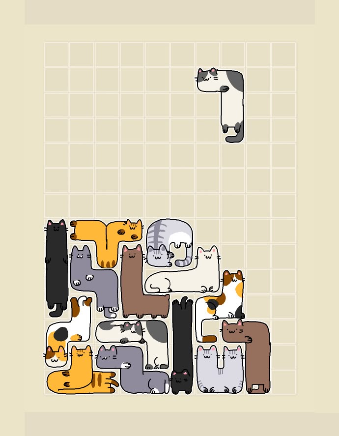 Cat Puzzle