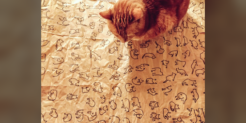 Cover image for Scared New Friend