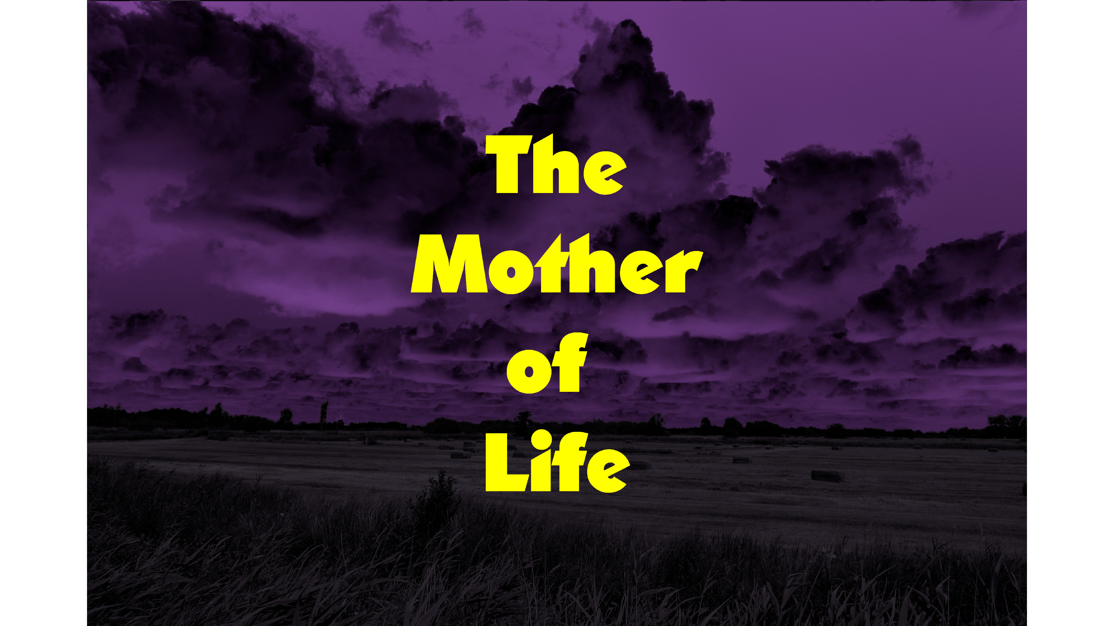 Cover image for Mother of Life