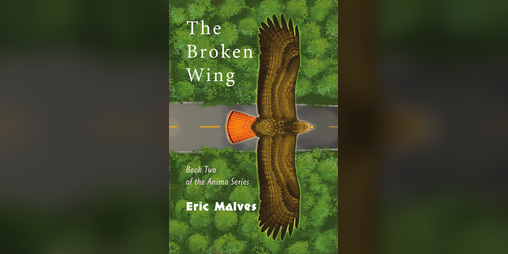 Cover image for Anima: The Broken Wing (Book 2)
