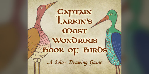 Cover image for Captain Larkin's Most Wondrous Book of Birds