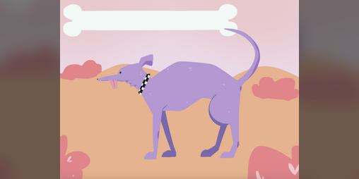 Cover image for pet that dog