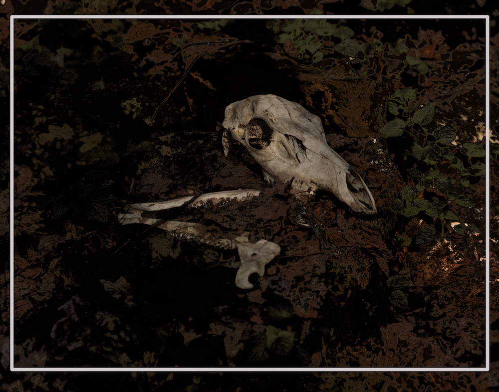 for I am a creation of the cosmos deserving honor in death