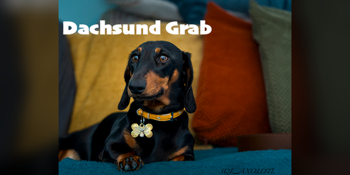 Cover image for Dachshund Grab