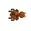 Time Spider
