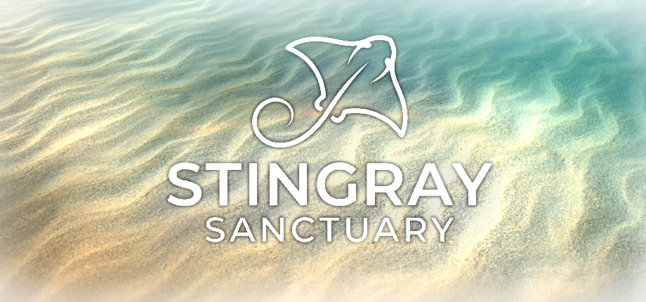 Stingray Sanctuary