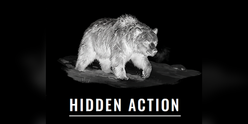 Cover image for Hidden Action - The Hunt