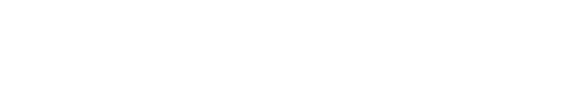 Action Phase